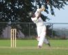 cricket 124.JPG